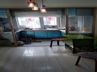 其它图