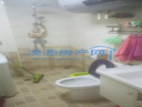 其它图