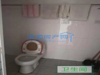 其它图
