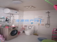 其它图