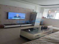 其它图