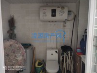 其它图