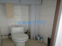 其它图