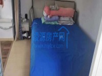 其它图