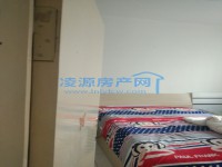 其它图