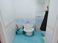 其它图