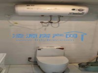 其它图