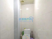其它图