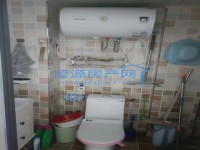 其它图