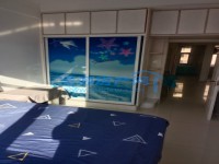 其它图