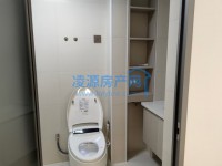 其它图