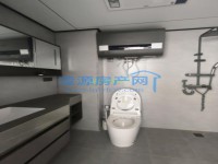 其它图